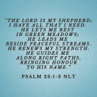 Nurturing Mental Health: The Peace of Psalm 23