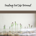 Seeds in Shallow Soil: Finding Fertile Ground